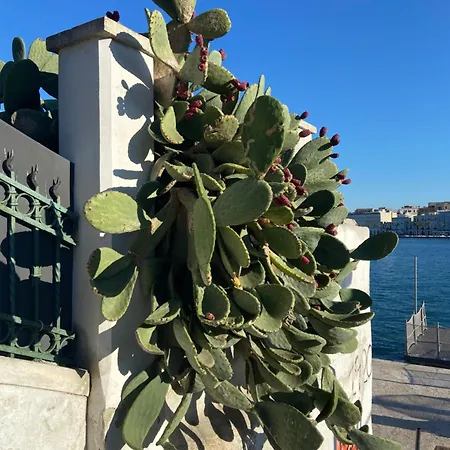 Stella Del Salento * Brindisi